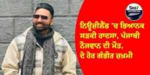 ਨਿਊਜ਼ੀਲੈਂਡ