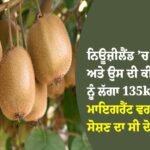 ਨਿਊਜ਼ੀਲੈਂਡ