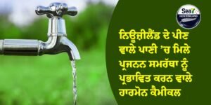 ਨਿਊਜ਼ੀਲੈਂਡ